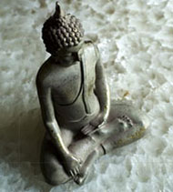 Samanas